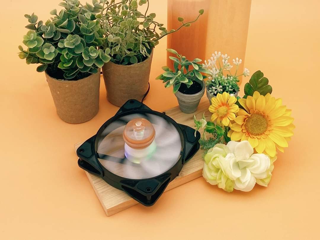 《綠洲護盾》又名"風水輪"