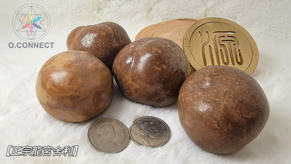 正宗【龍宮舍利原石】