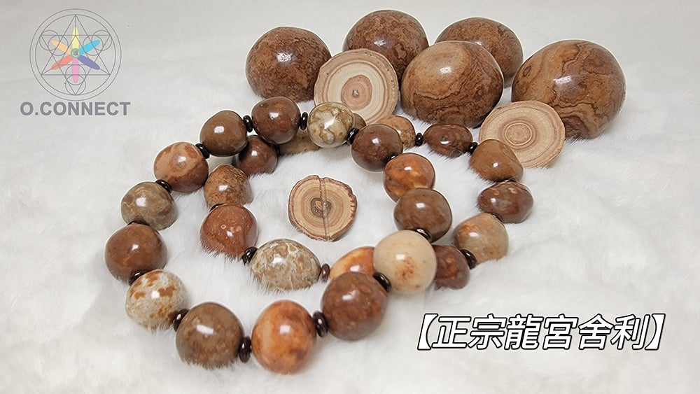 正宗【龍宮舍利】手串
