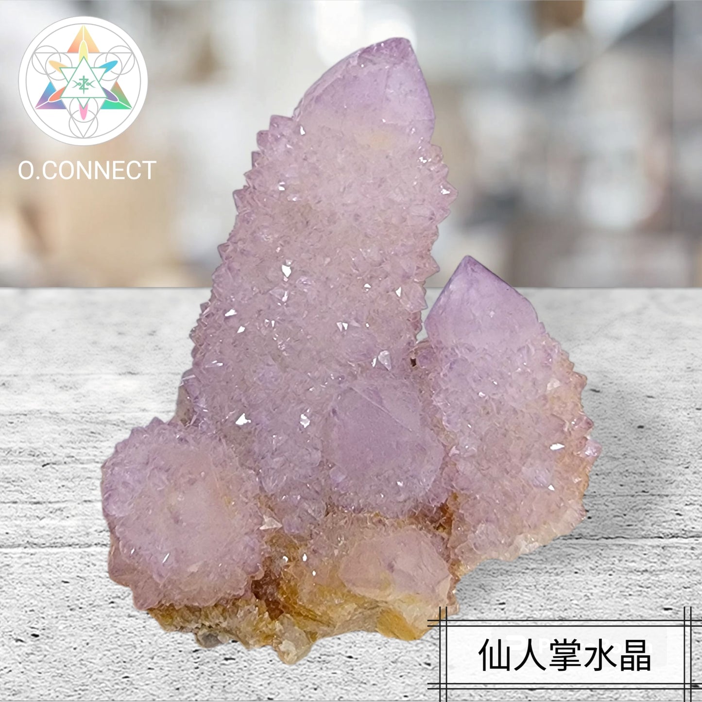 仙人掌水晶