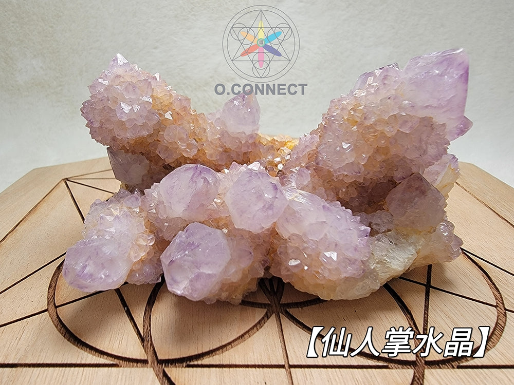 仙人掌水晶
