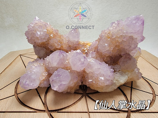 仙人掌水晶