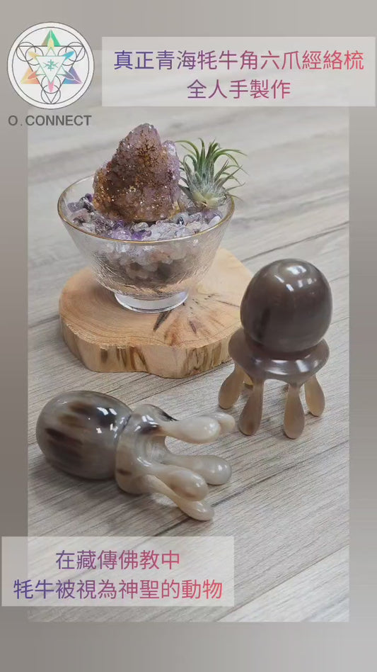 真正青海氂牛角六爪經絡梳