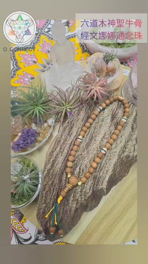 六道木神聖牛骨經文娜娜通念珠