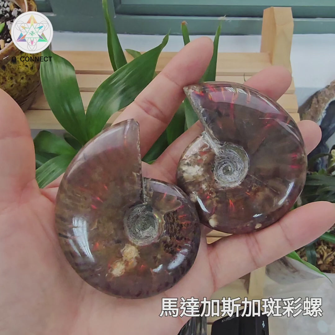 載入影片：